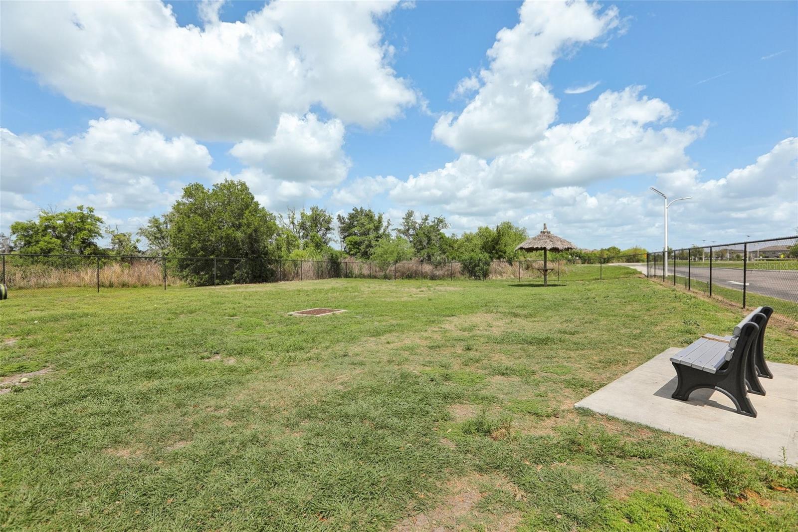 Image 30 of 33 For 32010 Blue Passing Loop