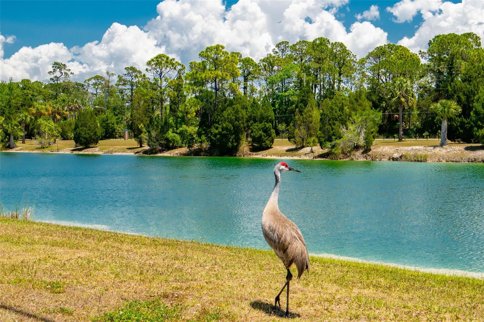 Image 68 of 70 For 7390 Shoal Line Boulevard