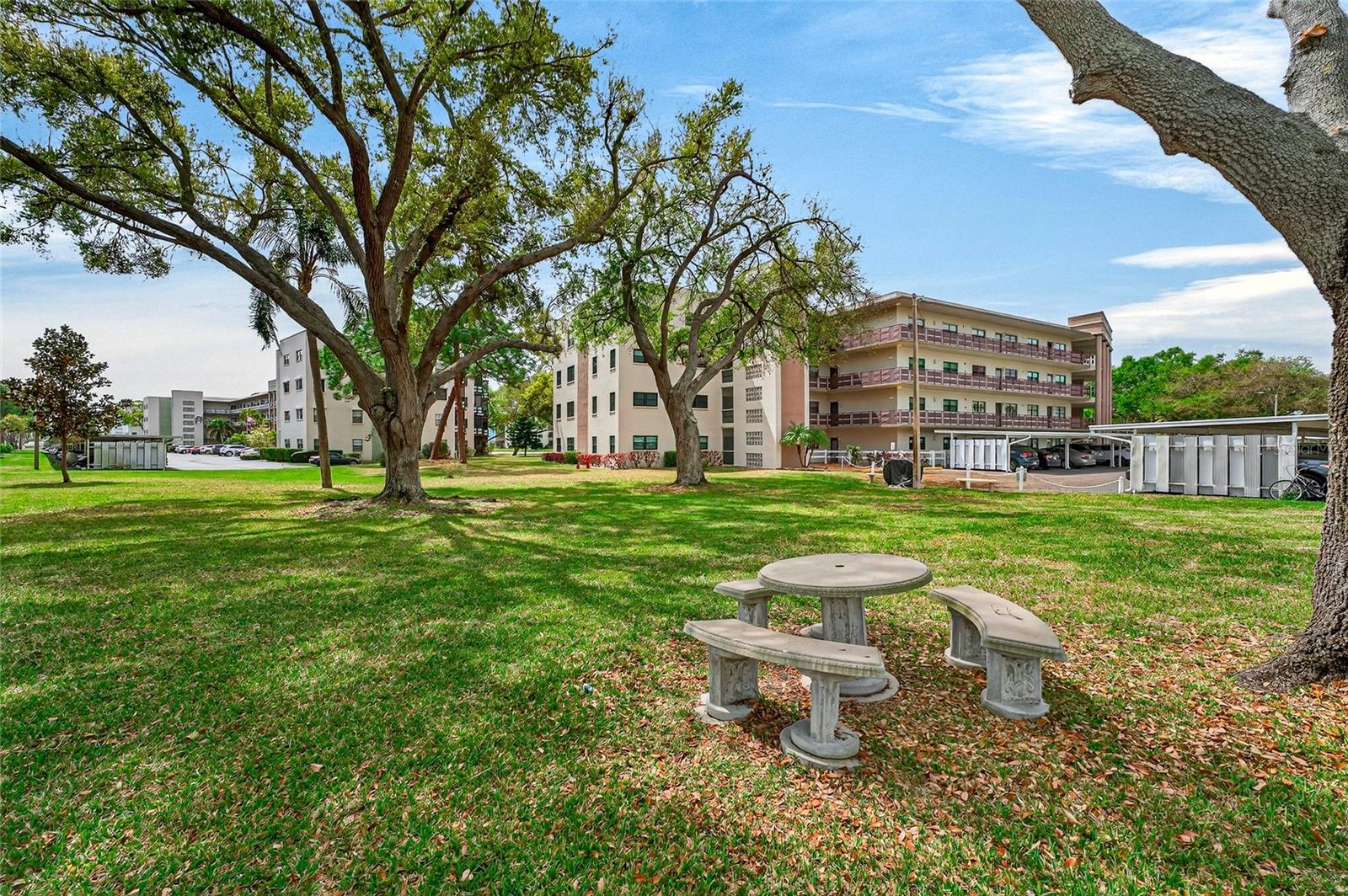 Image 49 of 65 For 6190 80th Street N 211