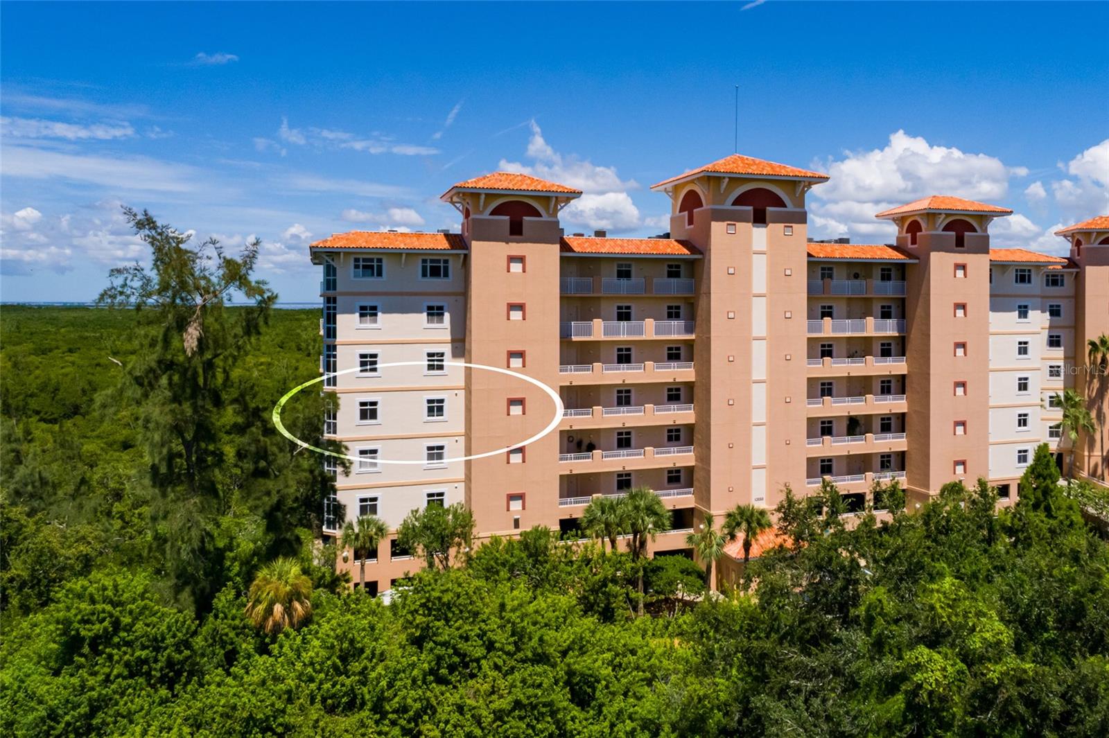 Listing photo id 1 for 12033 Gandy Boulevard N 151