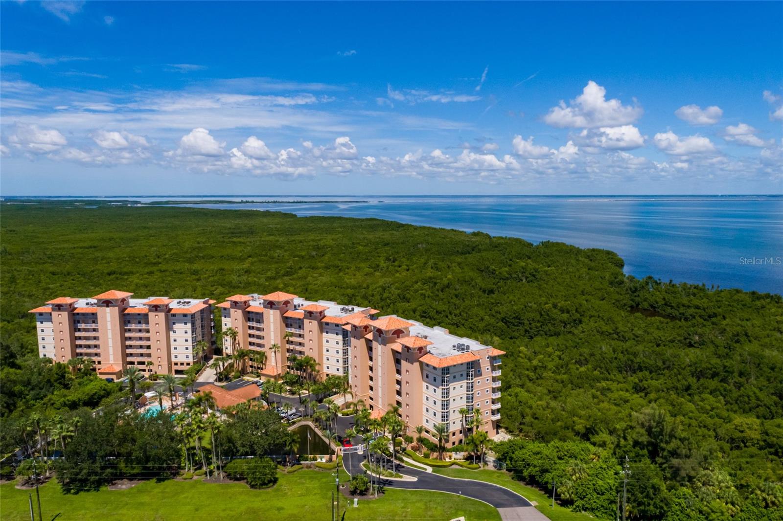 Listing photo id 47 for 12033 Gandy Boulevard N 151