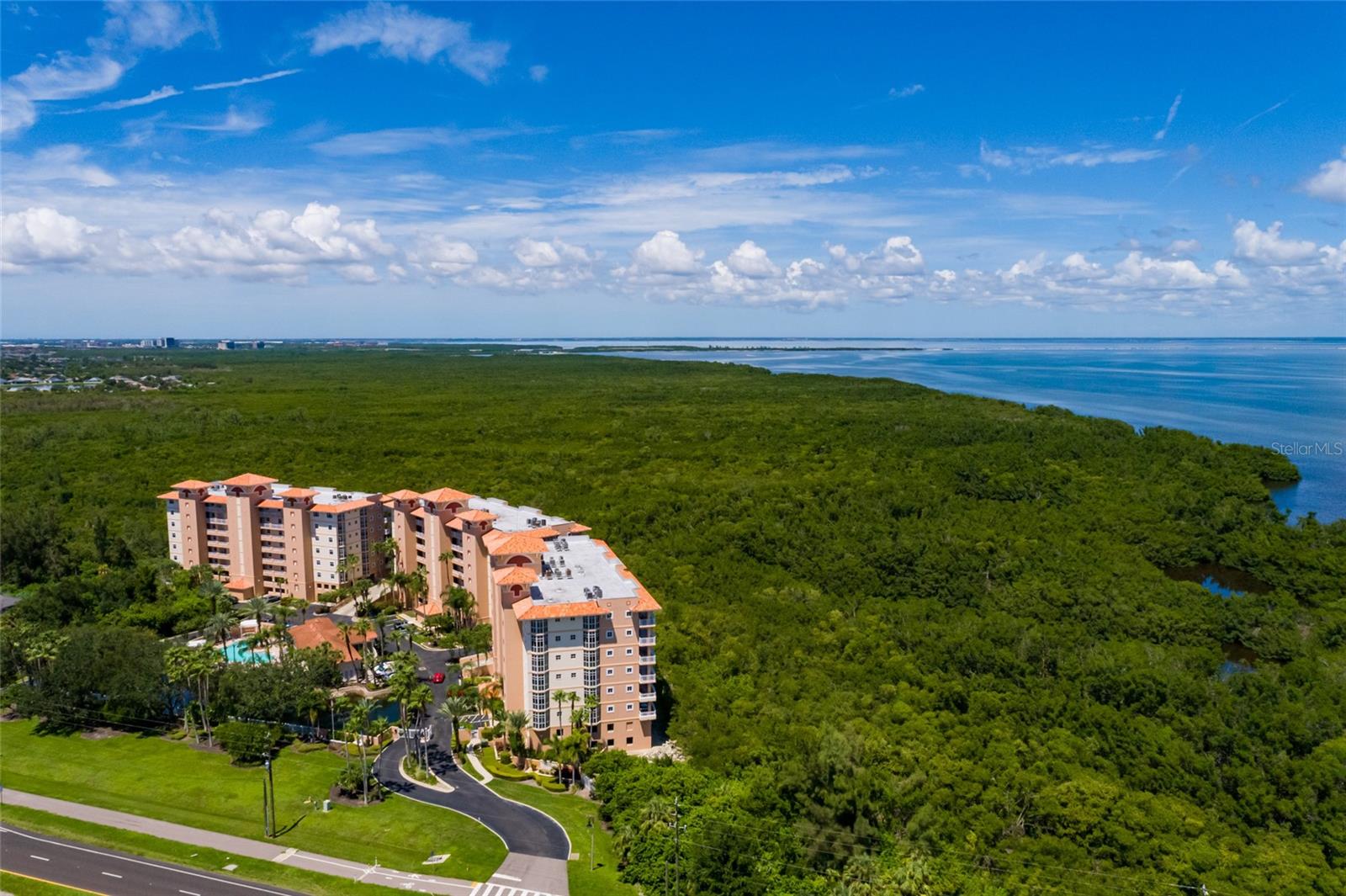 Listing photo id 52 for 12033 Gandy Boulevard N 151