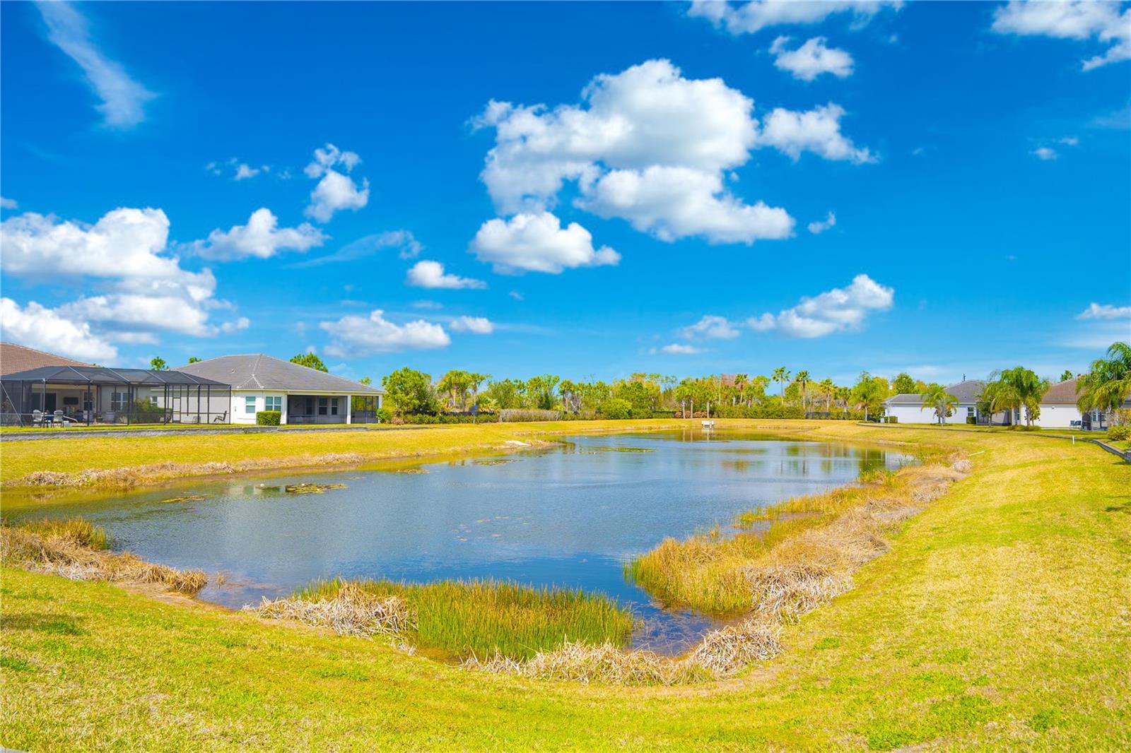 Listing photo id 39 for 4924 Pamplona Court