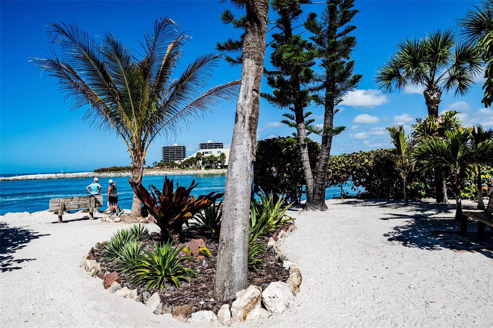 Image 33 of 40 For 7100 Sunset Way 810