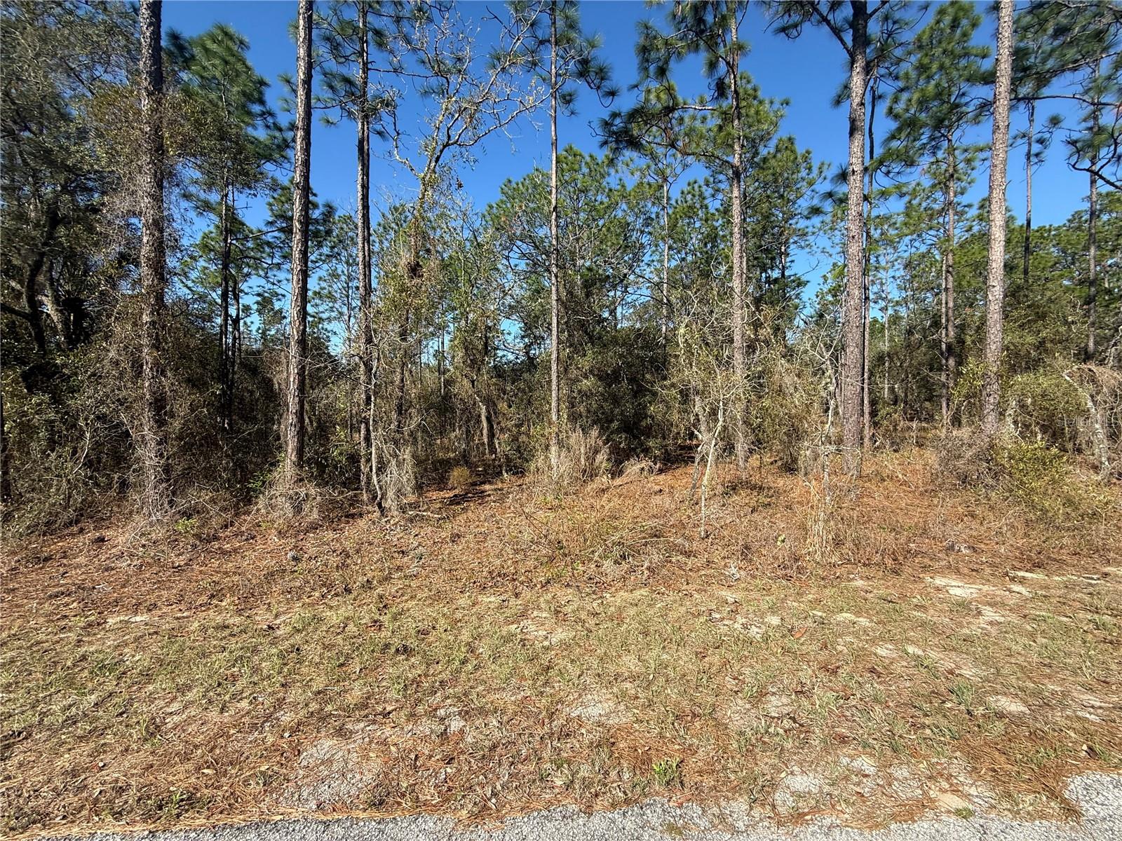 Details for Lot 13 129 Court, DUNNELLON, FL 34431