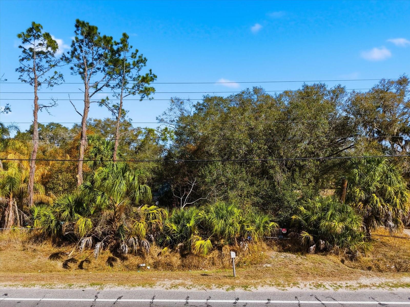 Image 2 of 12 For 8529 Lithia Pinecrest Road