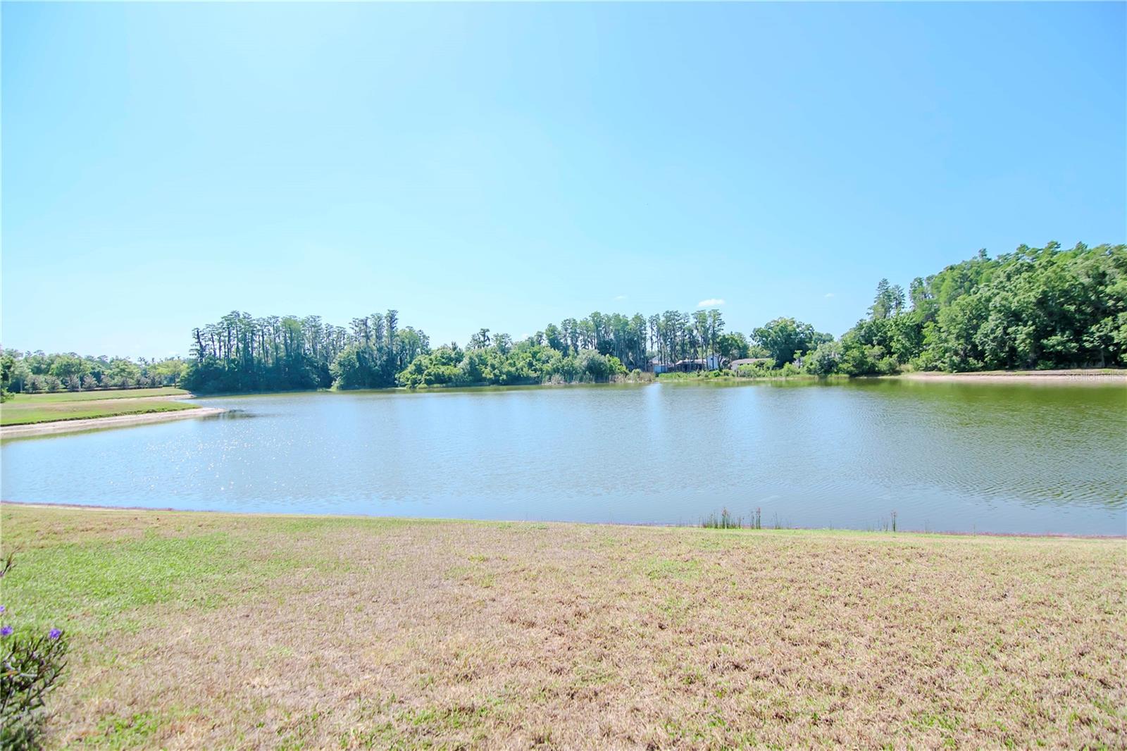 Listing photo id 5 for 3814 Evergreen Oaks Drive