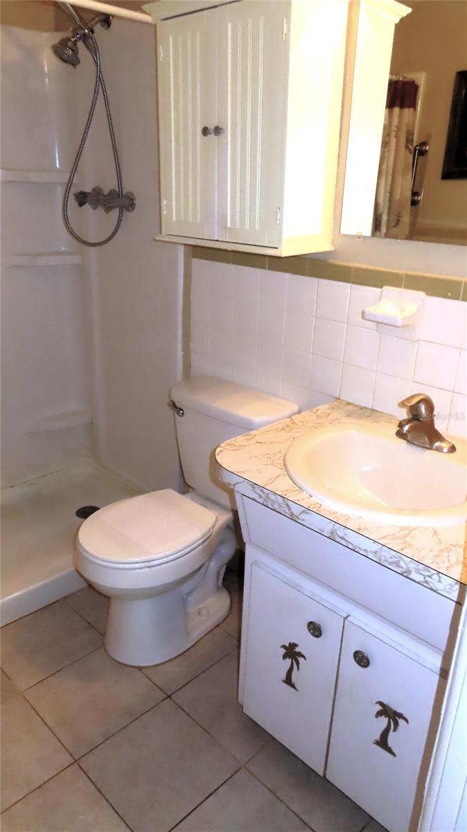 Image 11 of 26 For 2462 Brazilia Drive 16