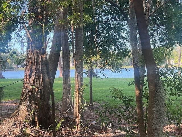 Image 13 of 13 For 16406 Lake Byrd Drive