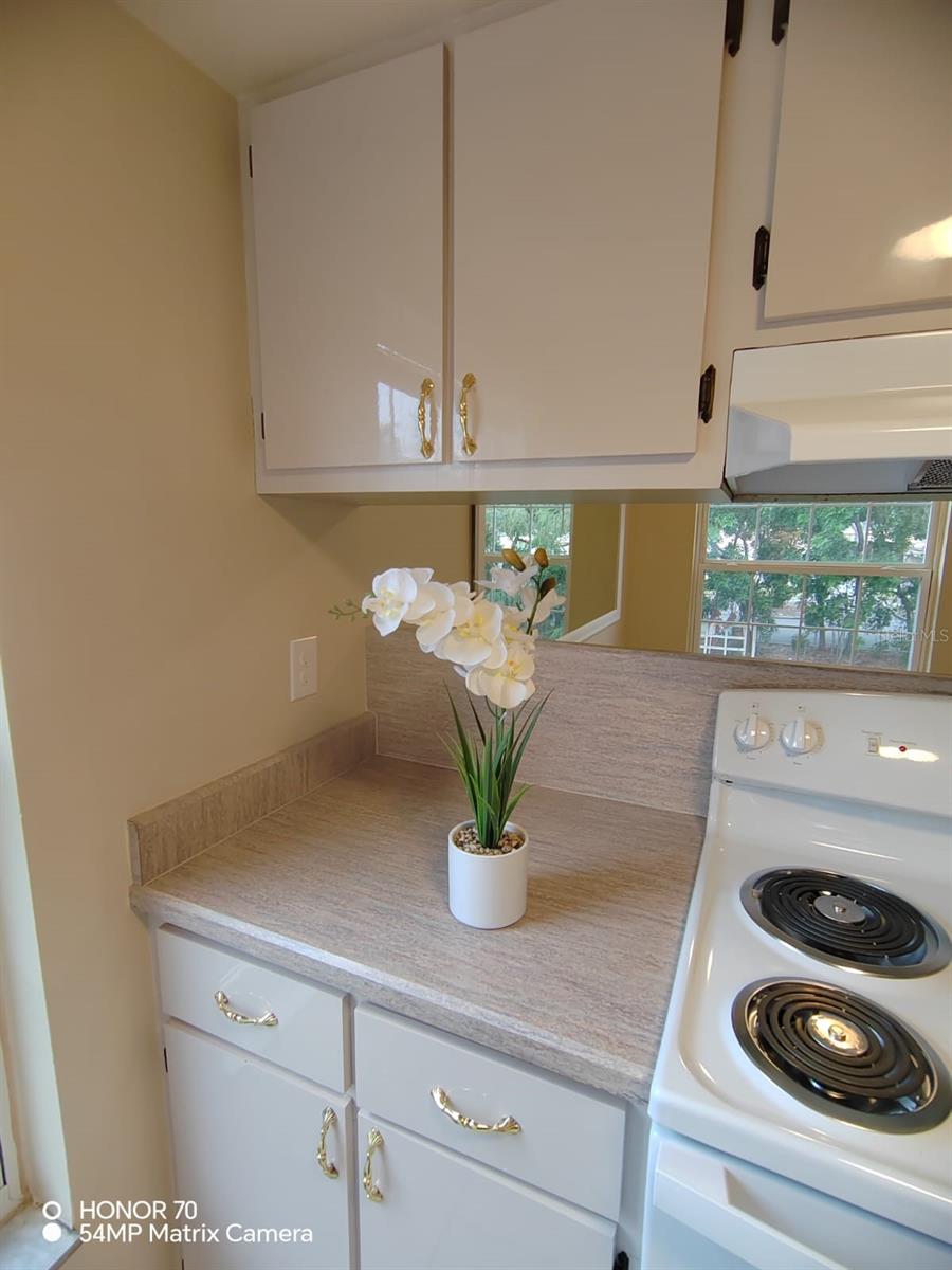 Image 14 of 27 For 1044 82nd Terrace N 1044c