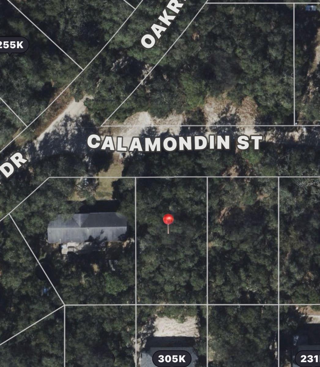 Listing Details for Calamondin St, LADY LAKE, FL 32159