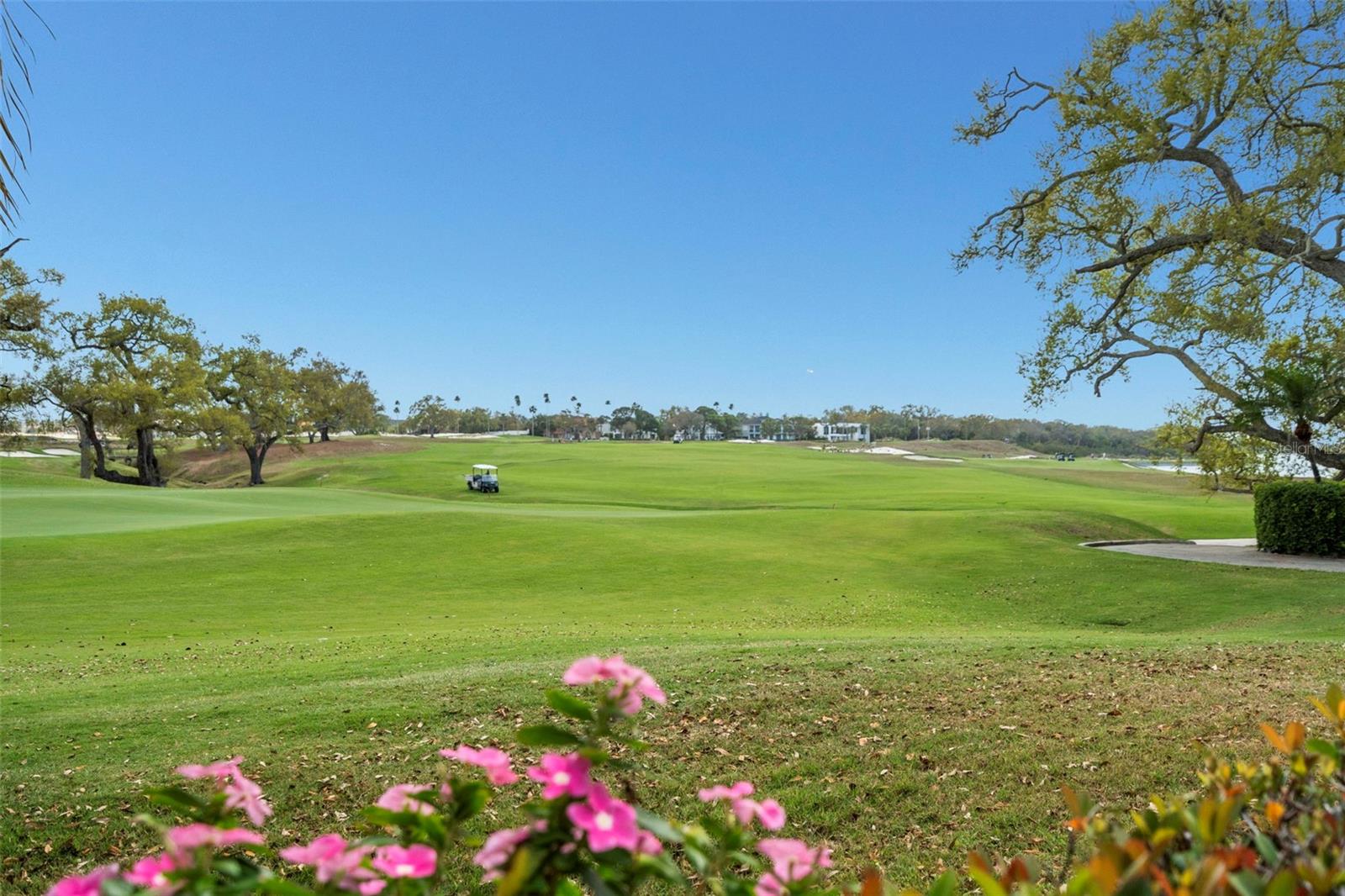 Listing photo id 37 for 4 Belleview Boulevard 108