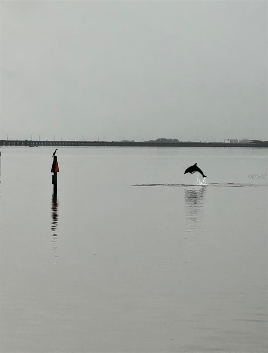 Image 55 of 56 For 2773 Via Cipriani  1321b