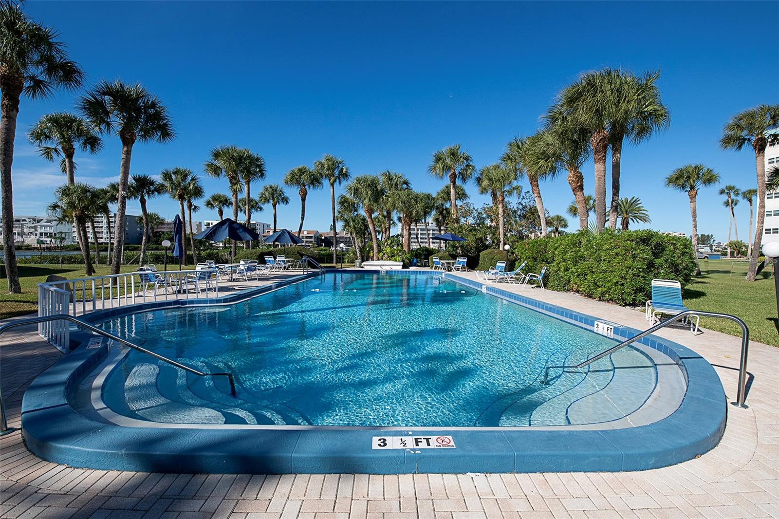 Image 21 of 28 For 10215 Regal  15