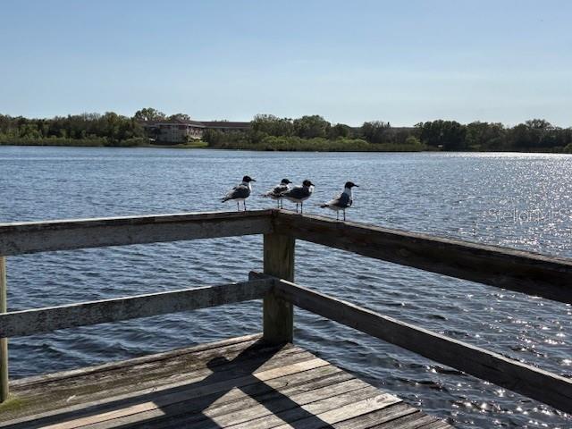 Image 35 of 35 For 2170 Americus Boulevard S 4