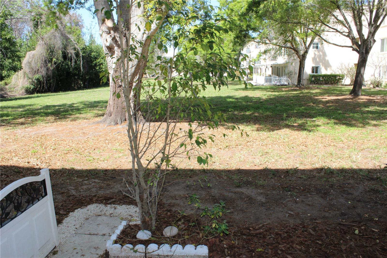 Image 8 of 35 For 2170 Americus Boulevard S 4