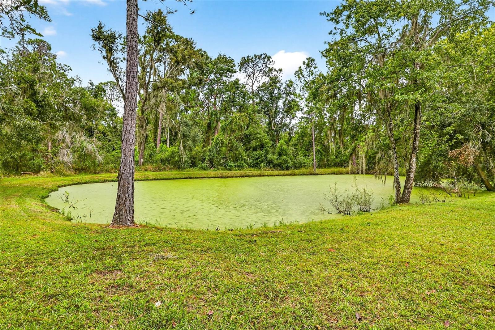 Image 63 of 73 For 13887 Gavin Road