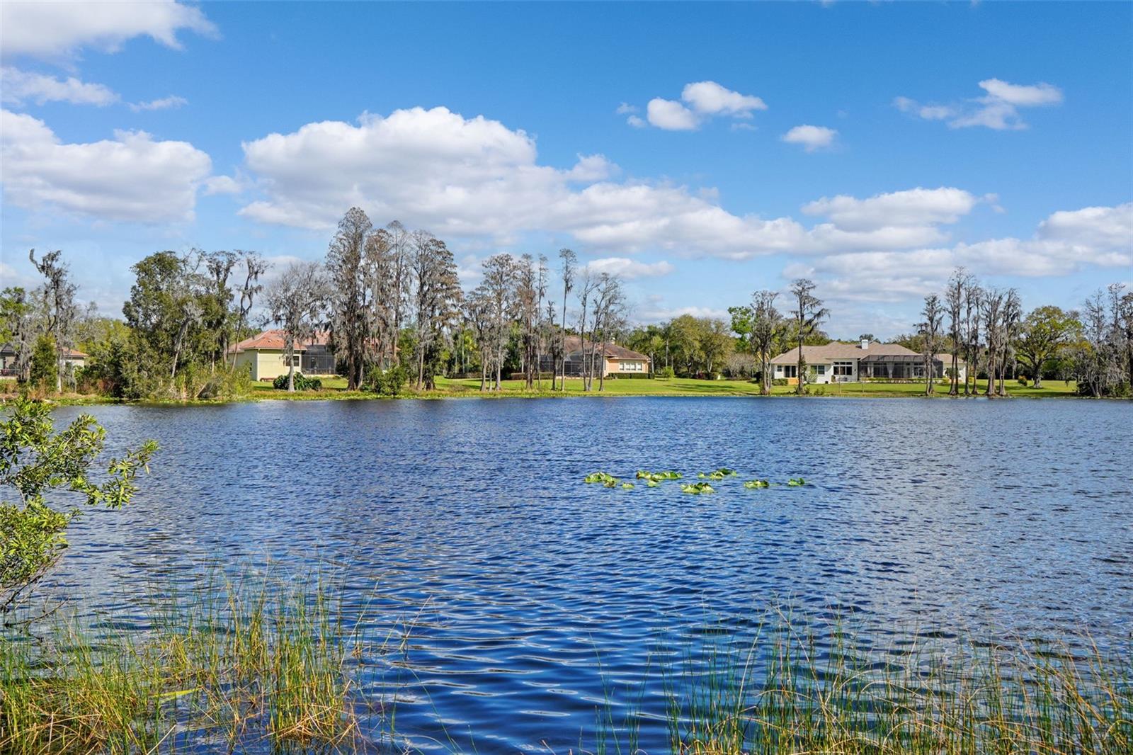 Details for 18709 Wayne Road, ODESSA, FL 33556