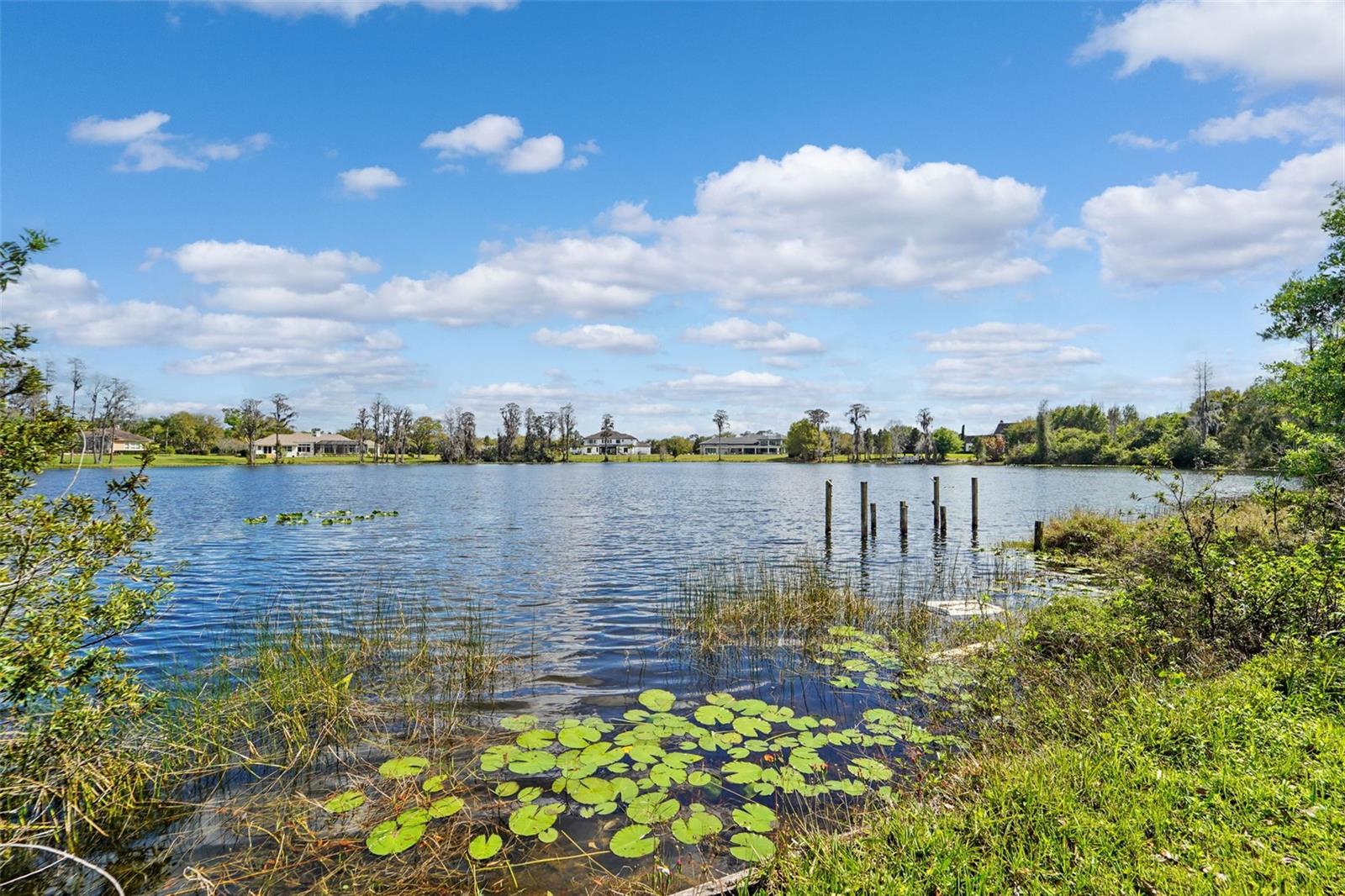 Details for 18709 Wayne Road, ODESSA, FL 33556