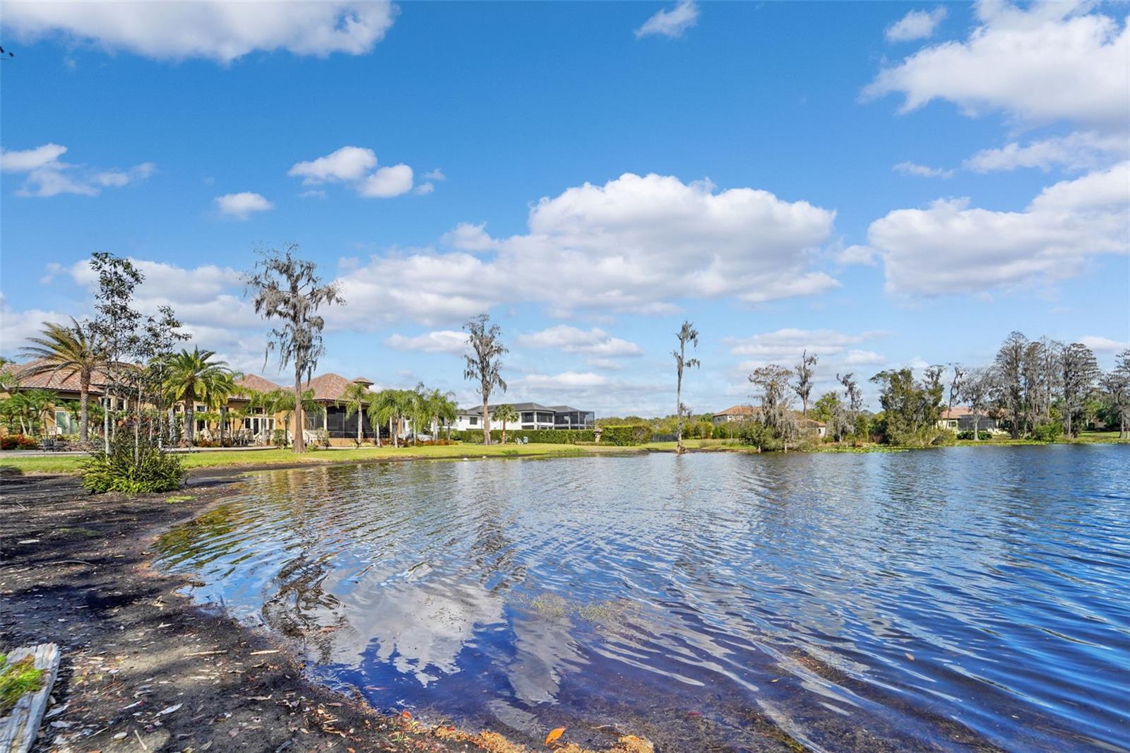 Image 13 of 37 For 18709 Wayne Road