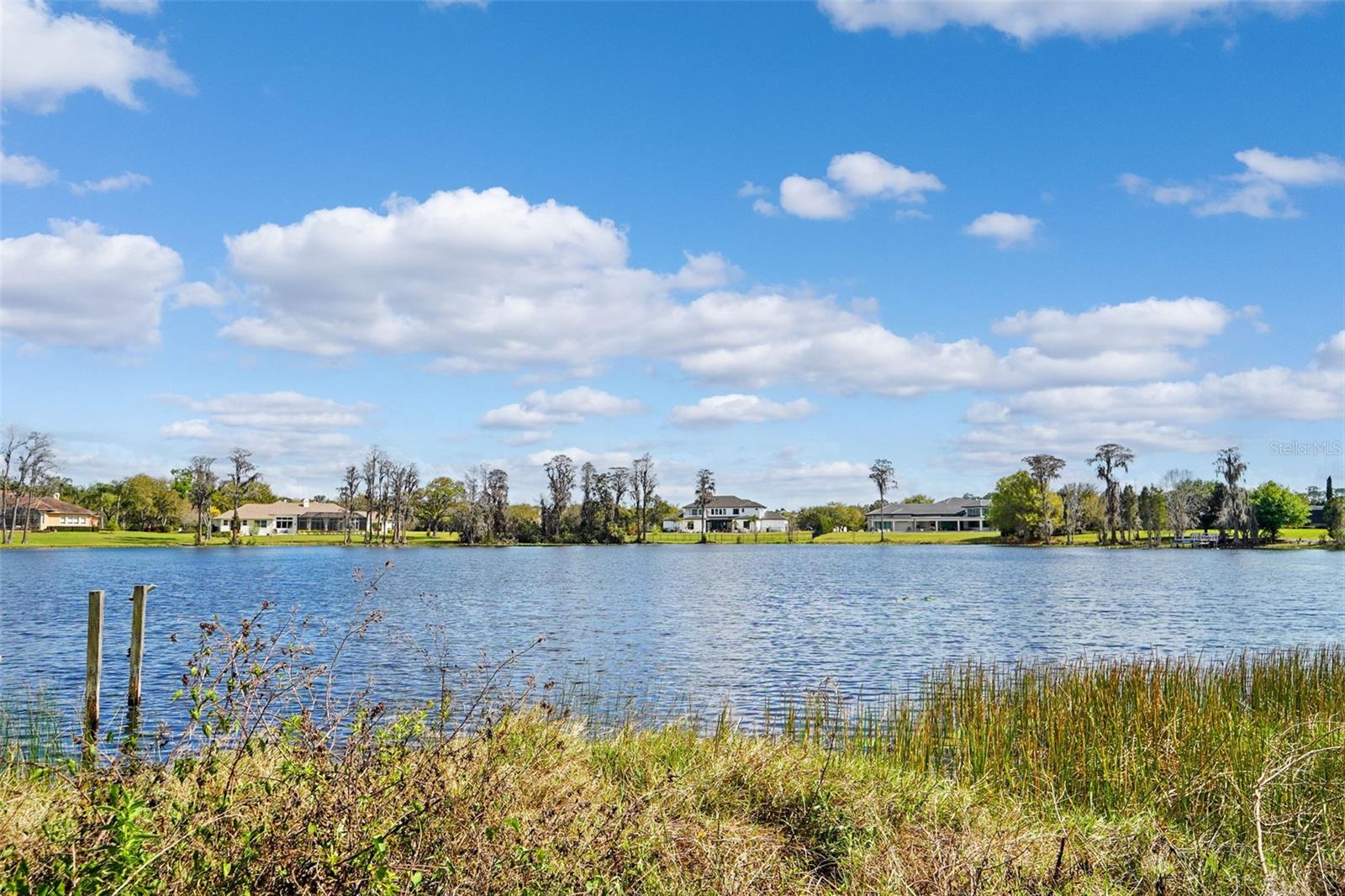 Image 2 of 37 For 18709 Wayne Road