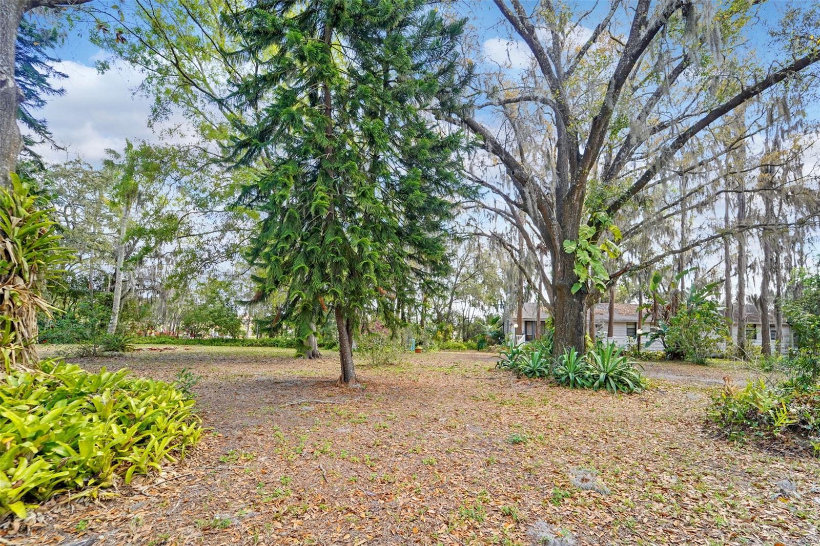 Image 20 of 37 For 18709 Wayne Road