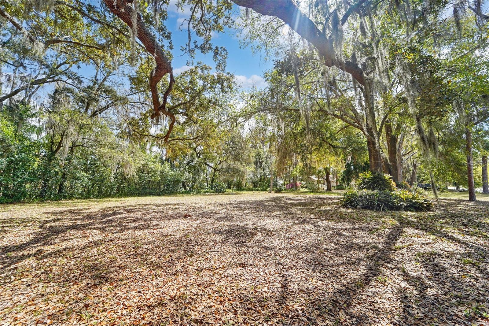 Image 21 of 37 For 18709 Wayne Road