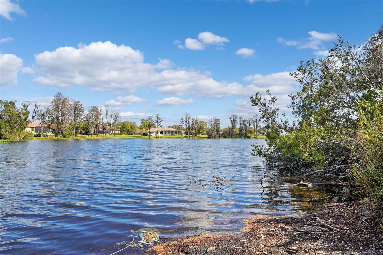 Image 4 of 37 For 18709 Wayne Road