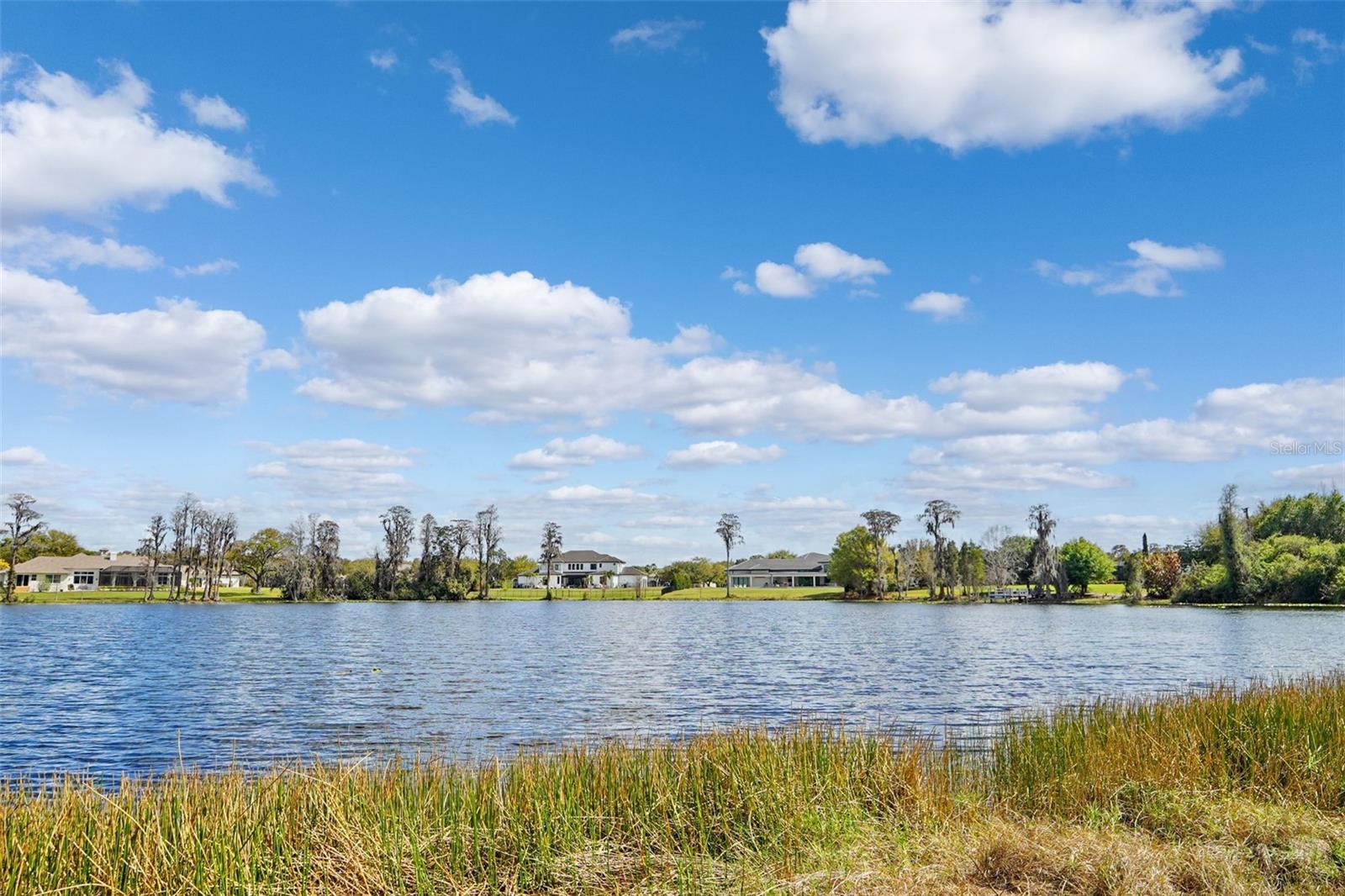 Image 8 of 37 For 18709 Wayne Road