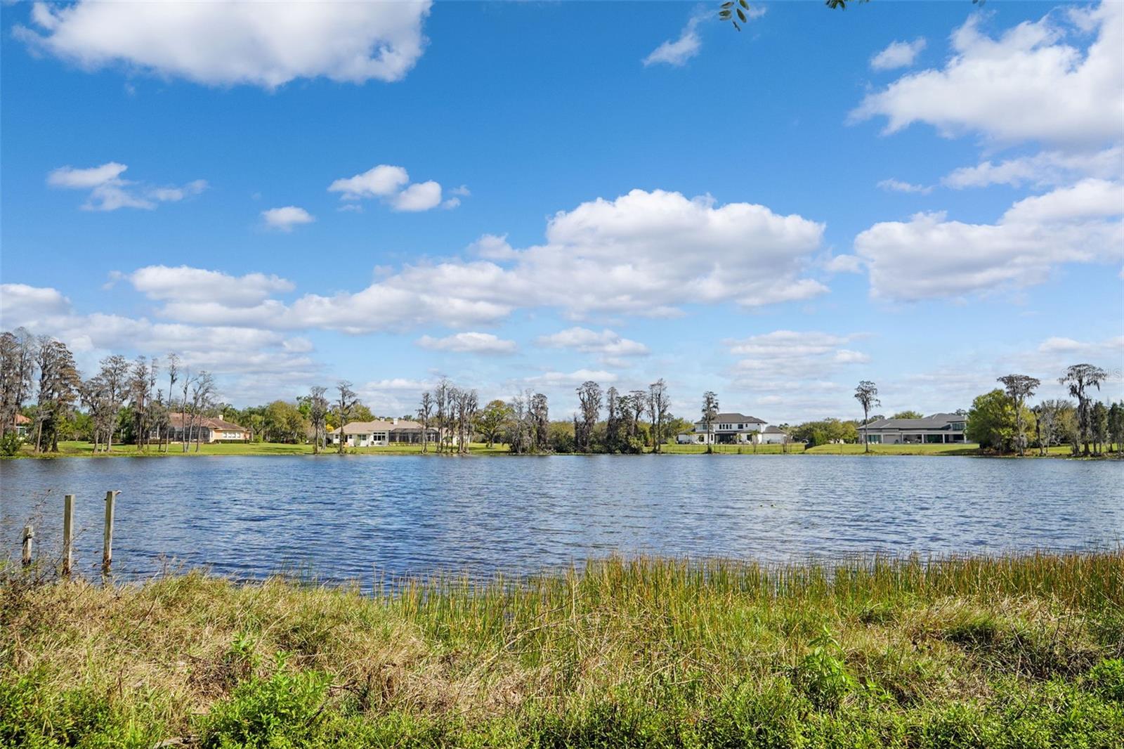 Image 9 of 37 For 18709 Wayne Road