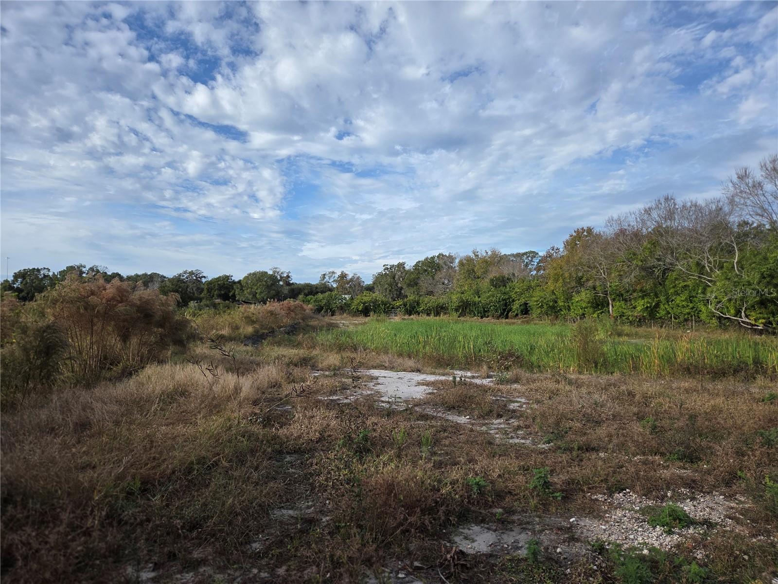 Image 5 of 9 For Sligh Avenue