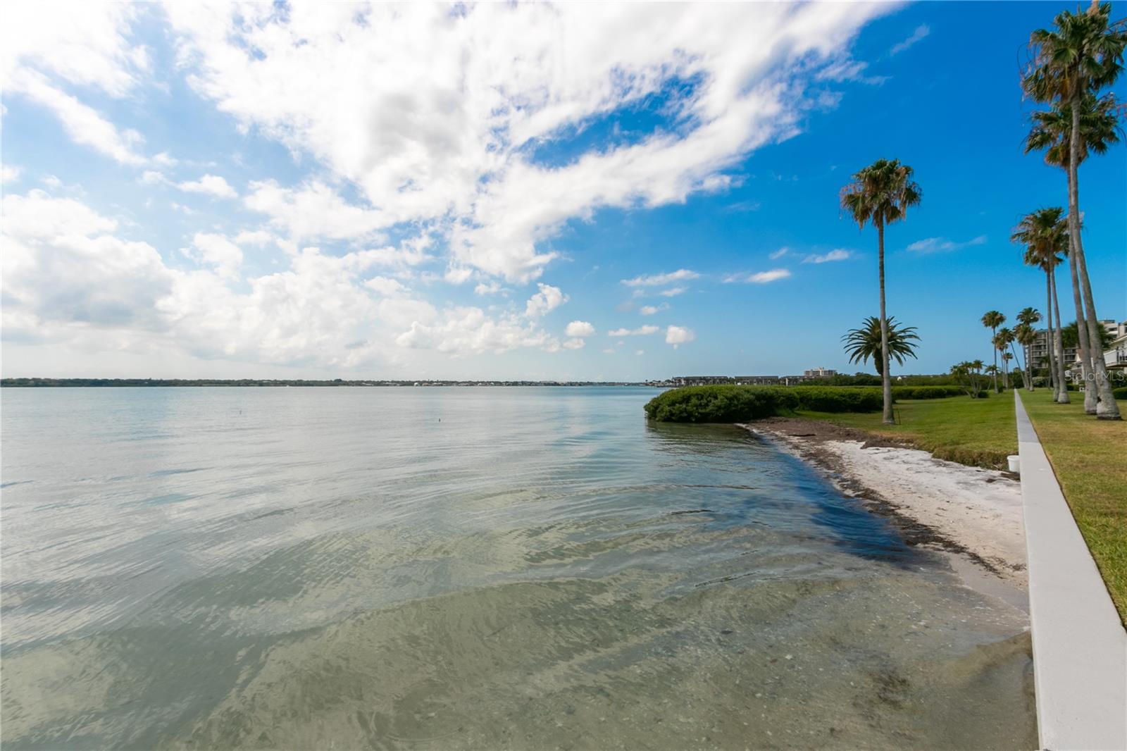 Image 36 of 51 For 1401 Gulf Boulevard 117