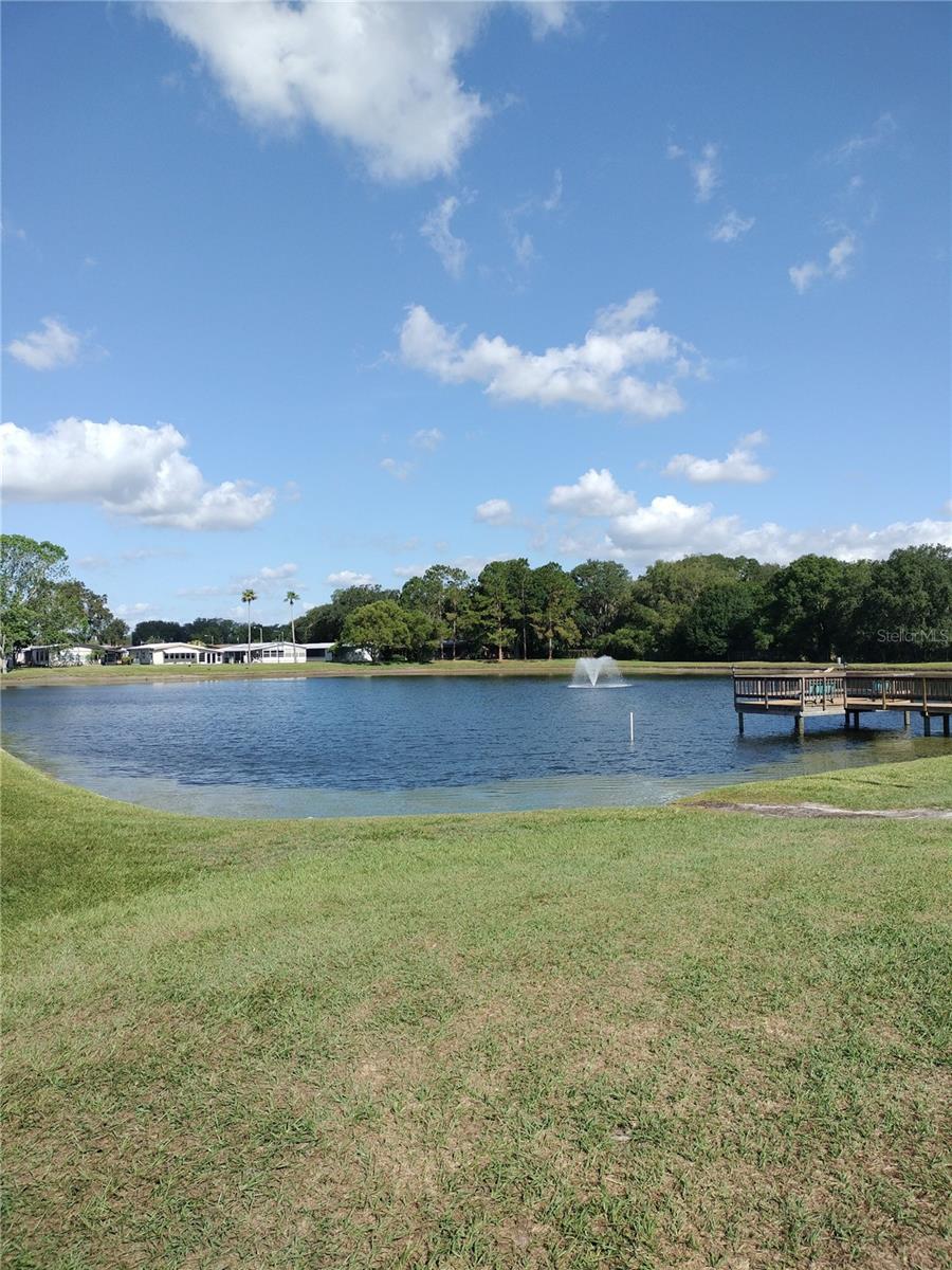 Image 56 of 63 For 3120 Pond Hollow Street