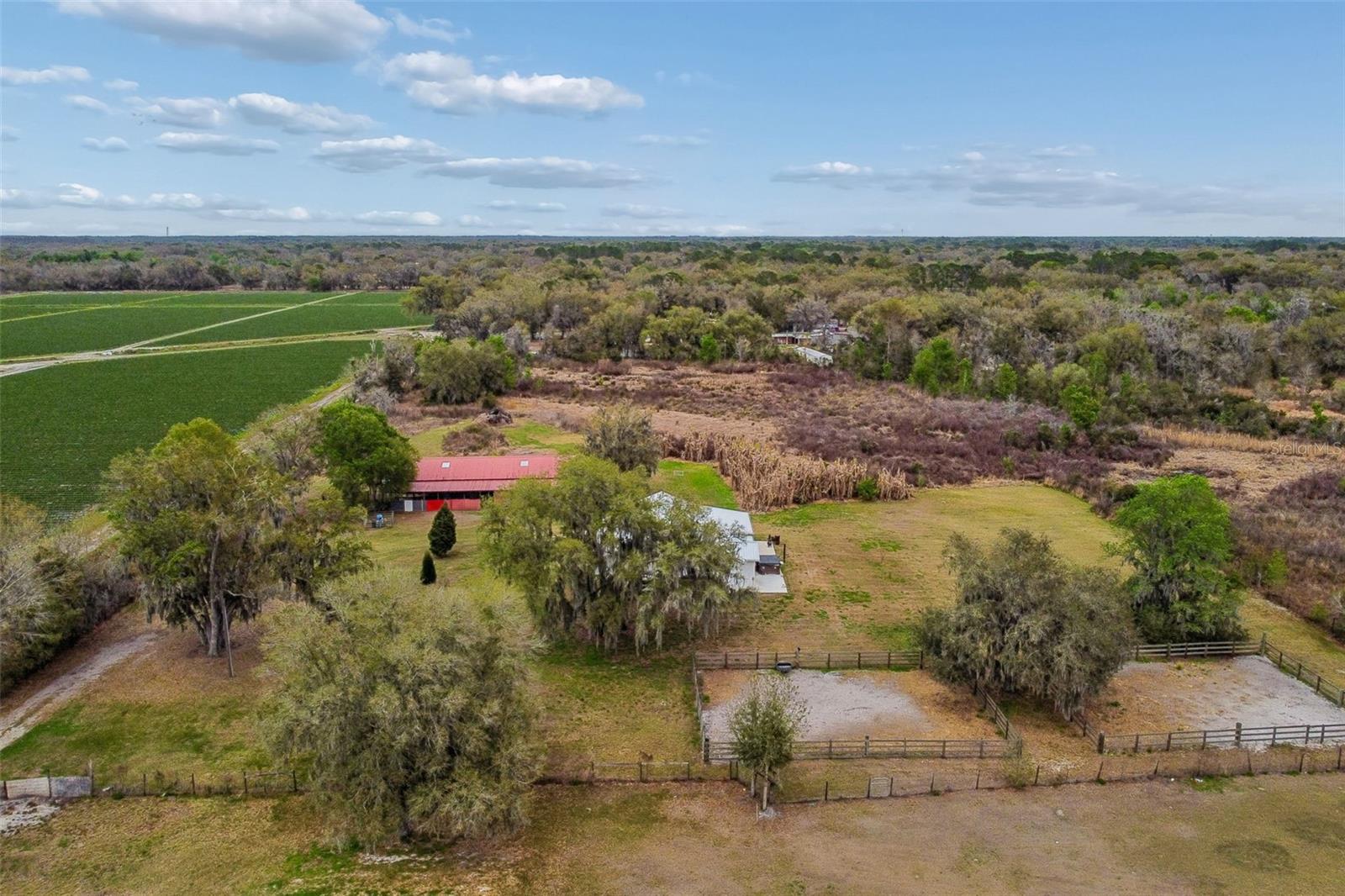 Image 97 of 98 For 5614 Pless Road