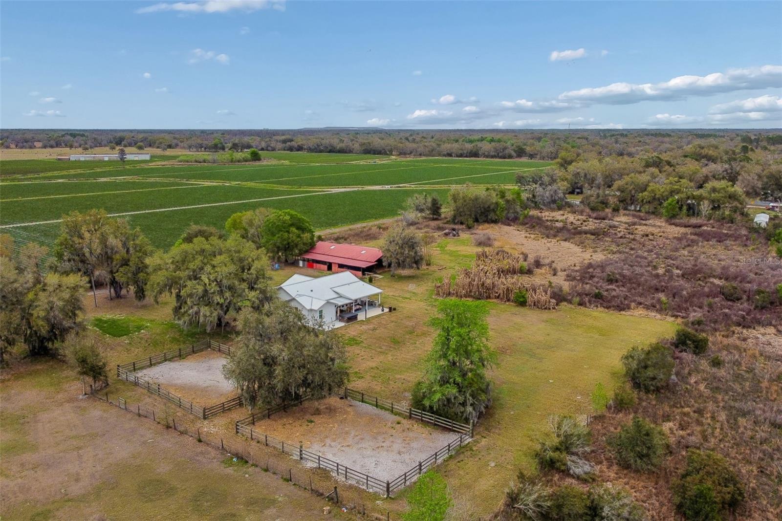 Image 98 of 98 For 5614 Pless Road