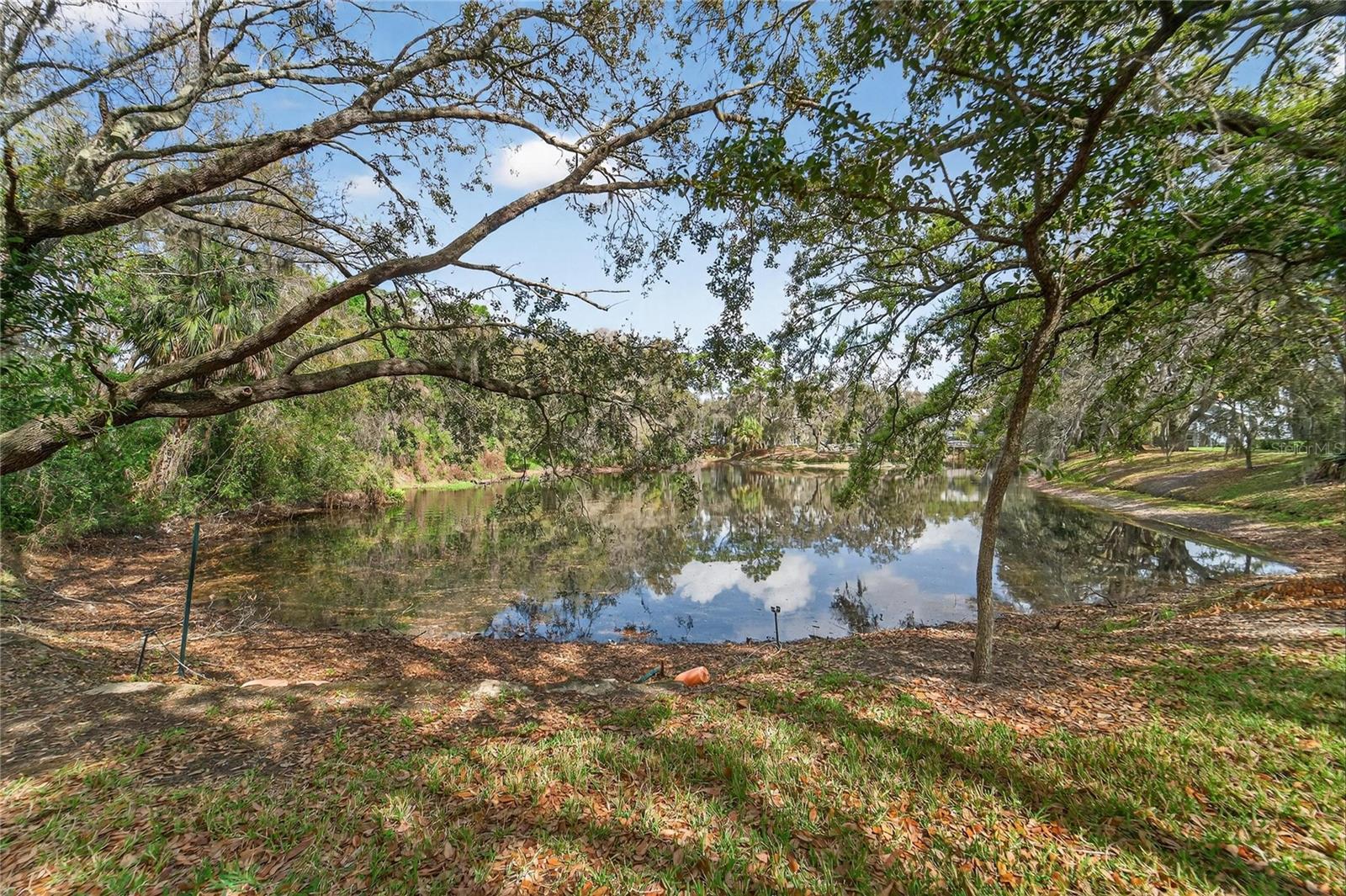 Image 17 of 65 For 11808 Skylake Place D