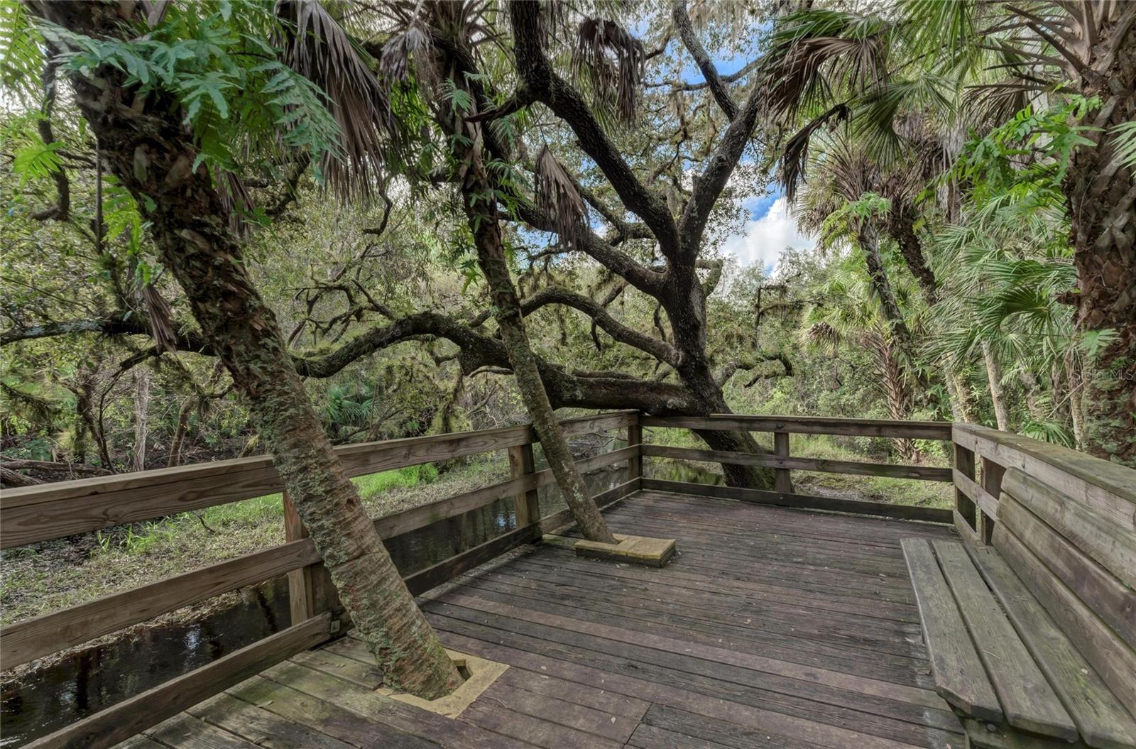 Image 28 of 100 For 12029 Corsica Lane