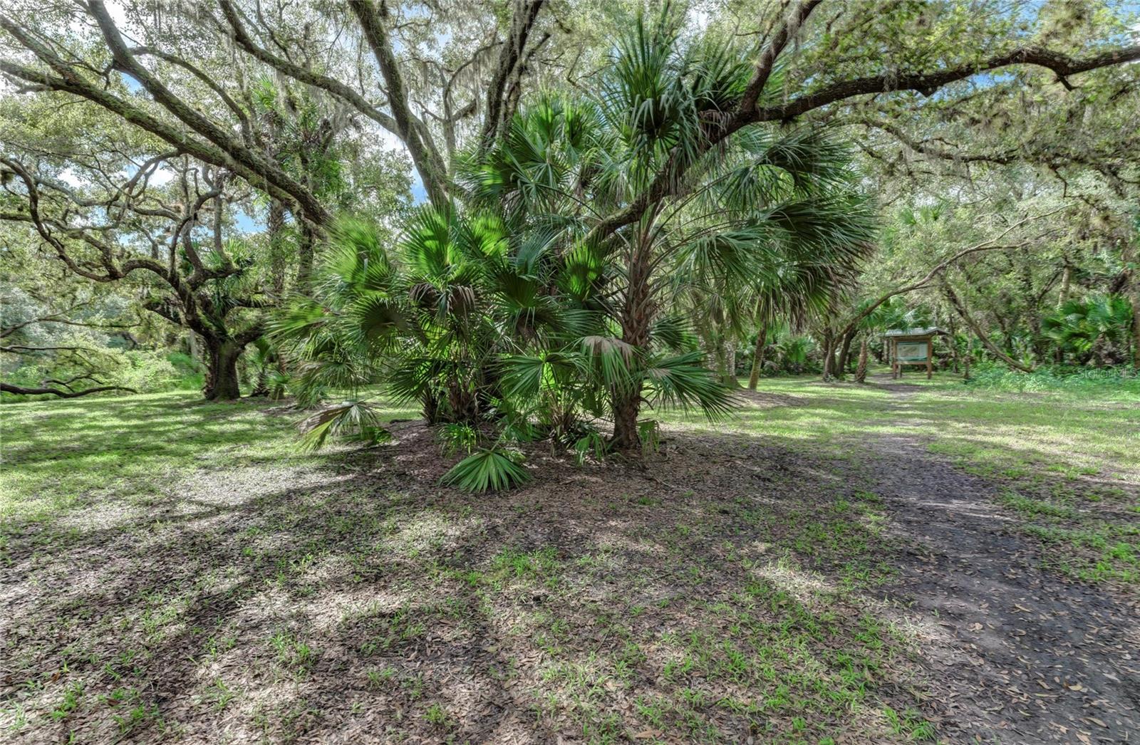 Image 47 of 100 For 12029 Corsica Lane