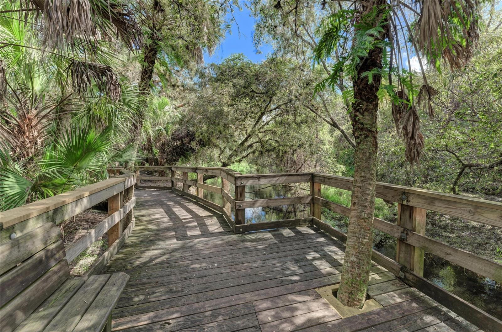 Image 61 of 100 For 12029 Corsica Lane