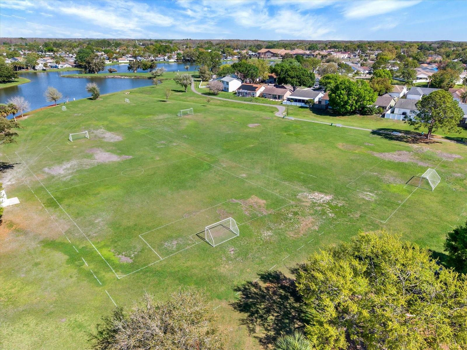 Image 38 of 39 For 10320 Fernbrook Lane