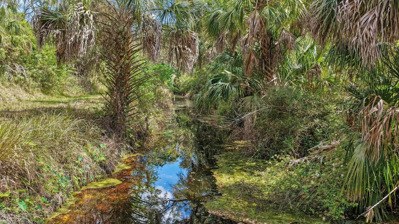 Image 40 of 50 For 3106 Timberlee Road