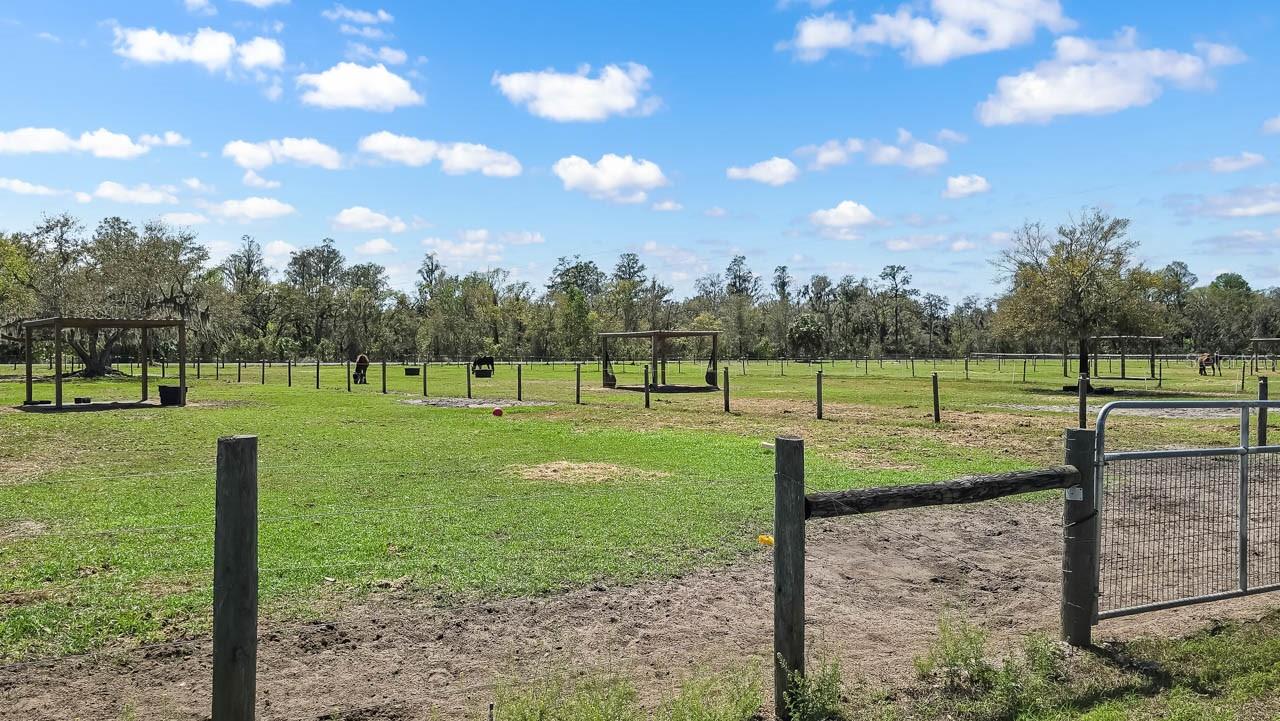 Image 43 of 50 For 3106 Timberlee Road