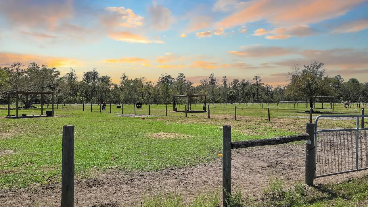 Image 45 of 50 For 3106 Timberlee Road