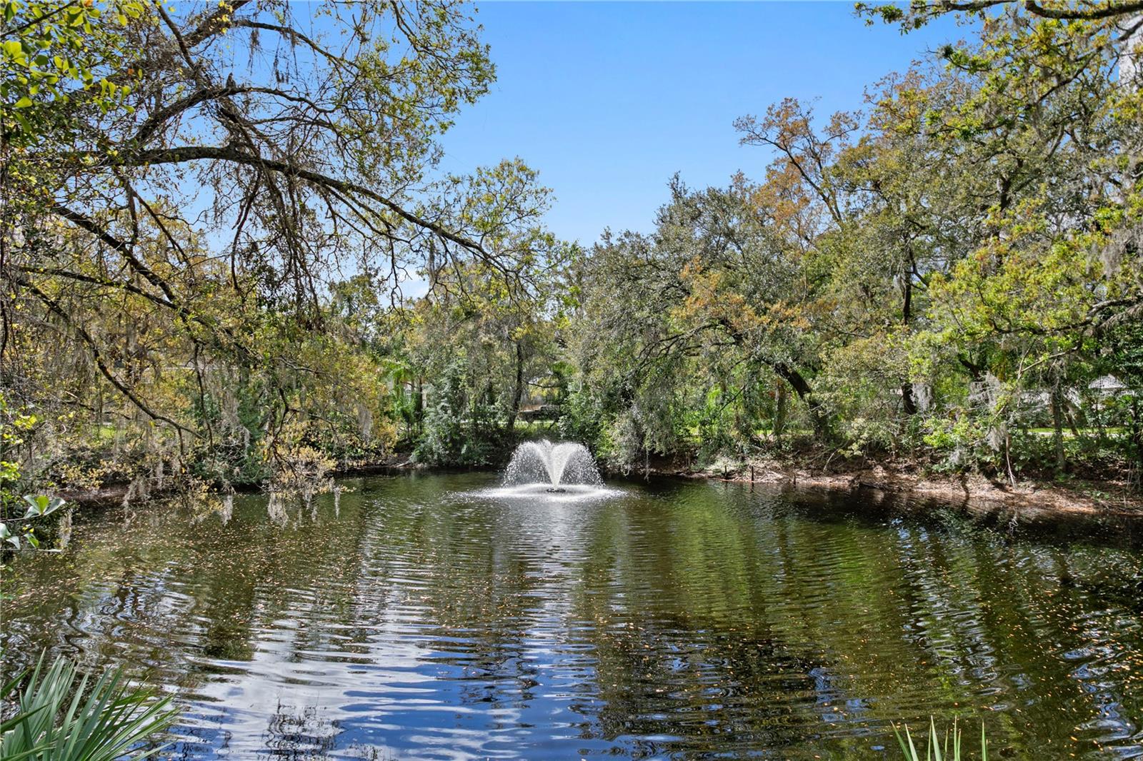 Listing photo id 64 for 16204 Sierra De Avila