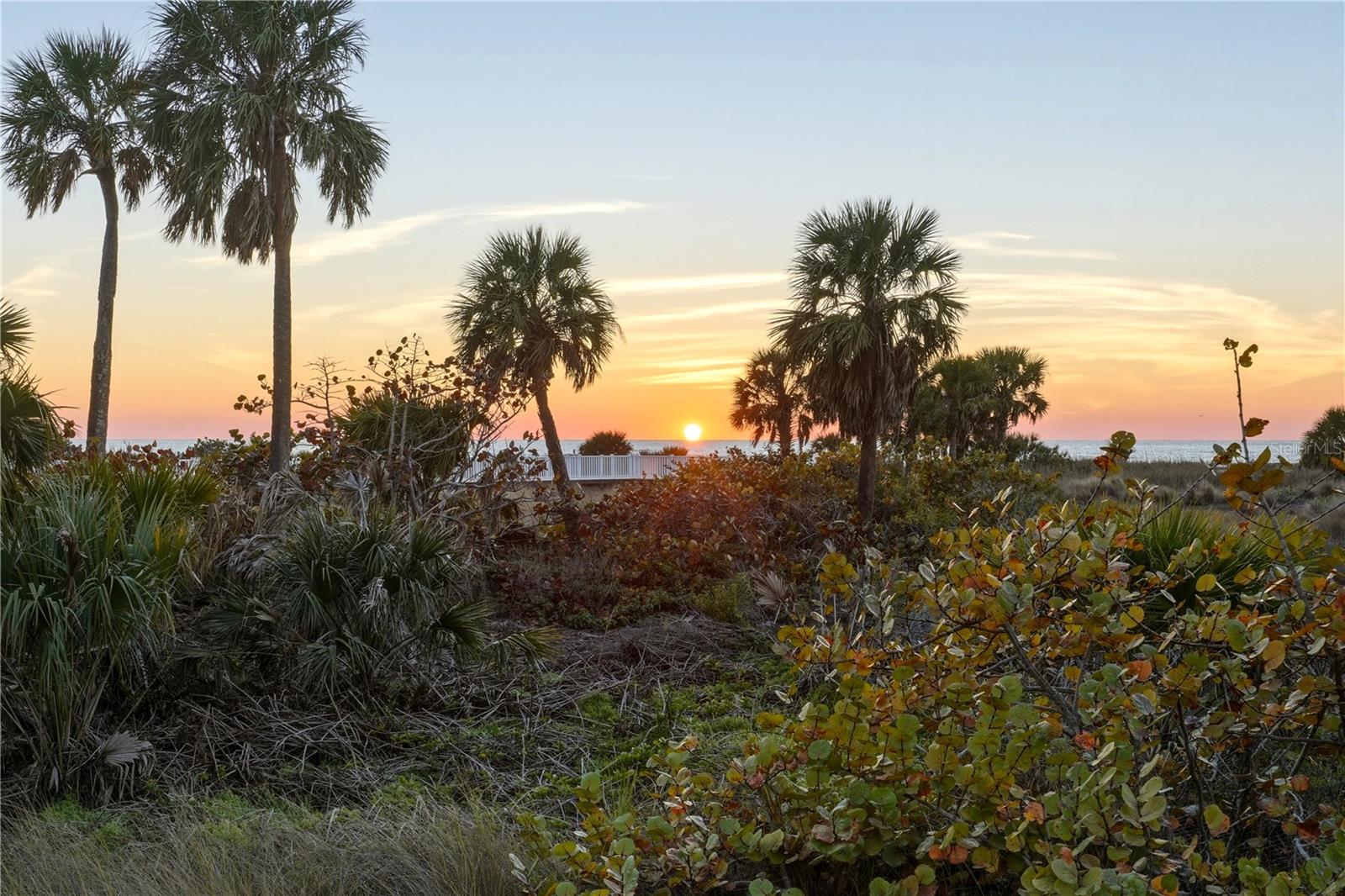 Listing photo id 44 for 1180 Gulf Boulevard 1805