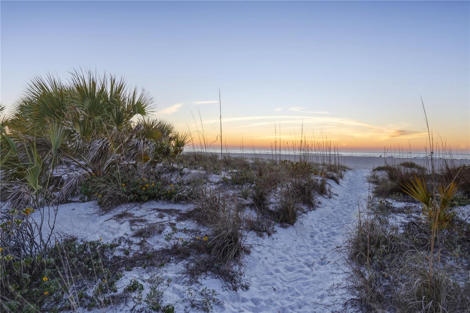 Listing photo id 46 for 1180 Gulf Boulevard 1805