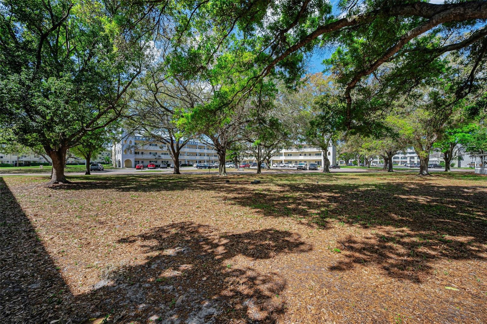 Image 20 of 69 For 2260 Costa Rican Drive 6