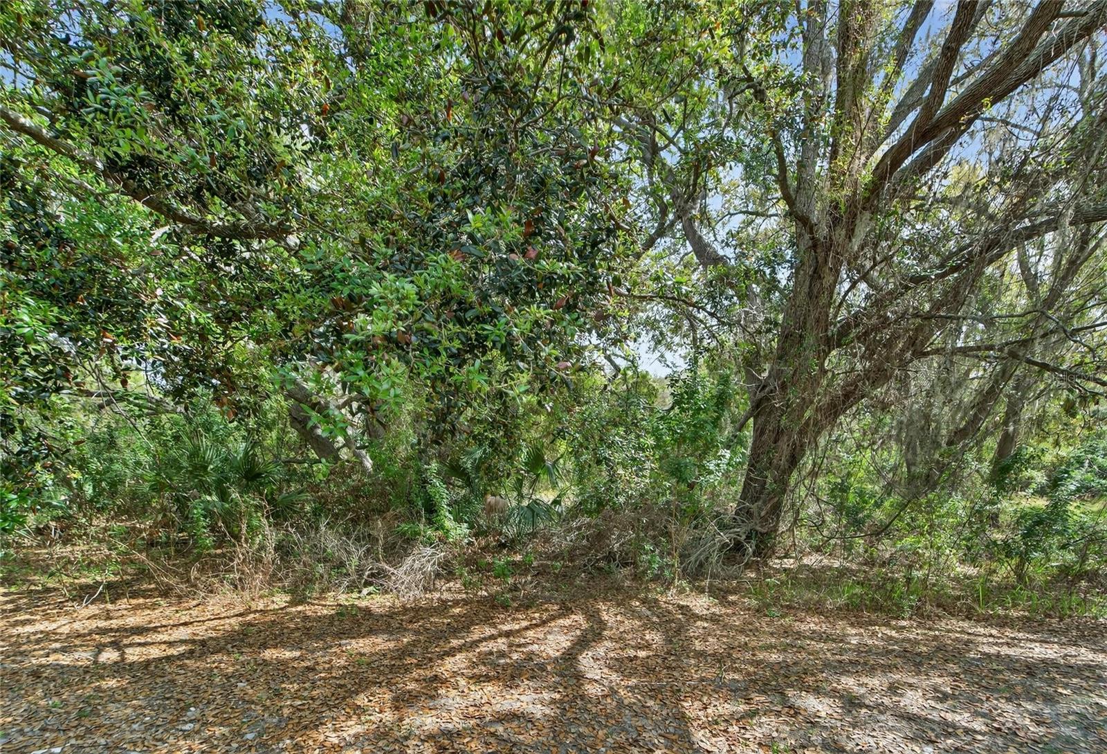 Image 62 of 90 For 9824 Hound Chase Drive