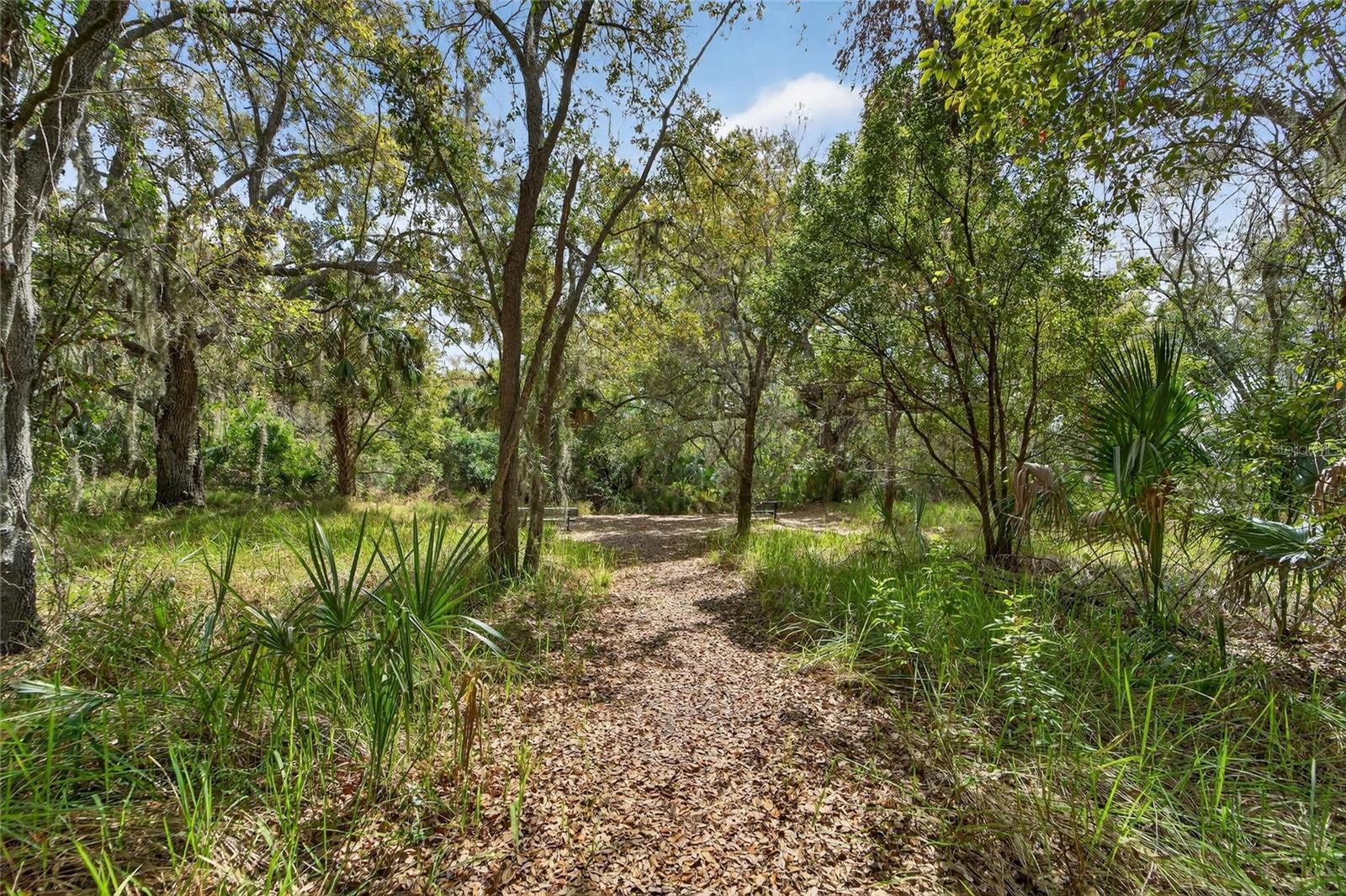 Image 63 of 90 For 9824 Hound Chase Drive