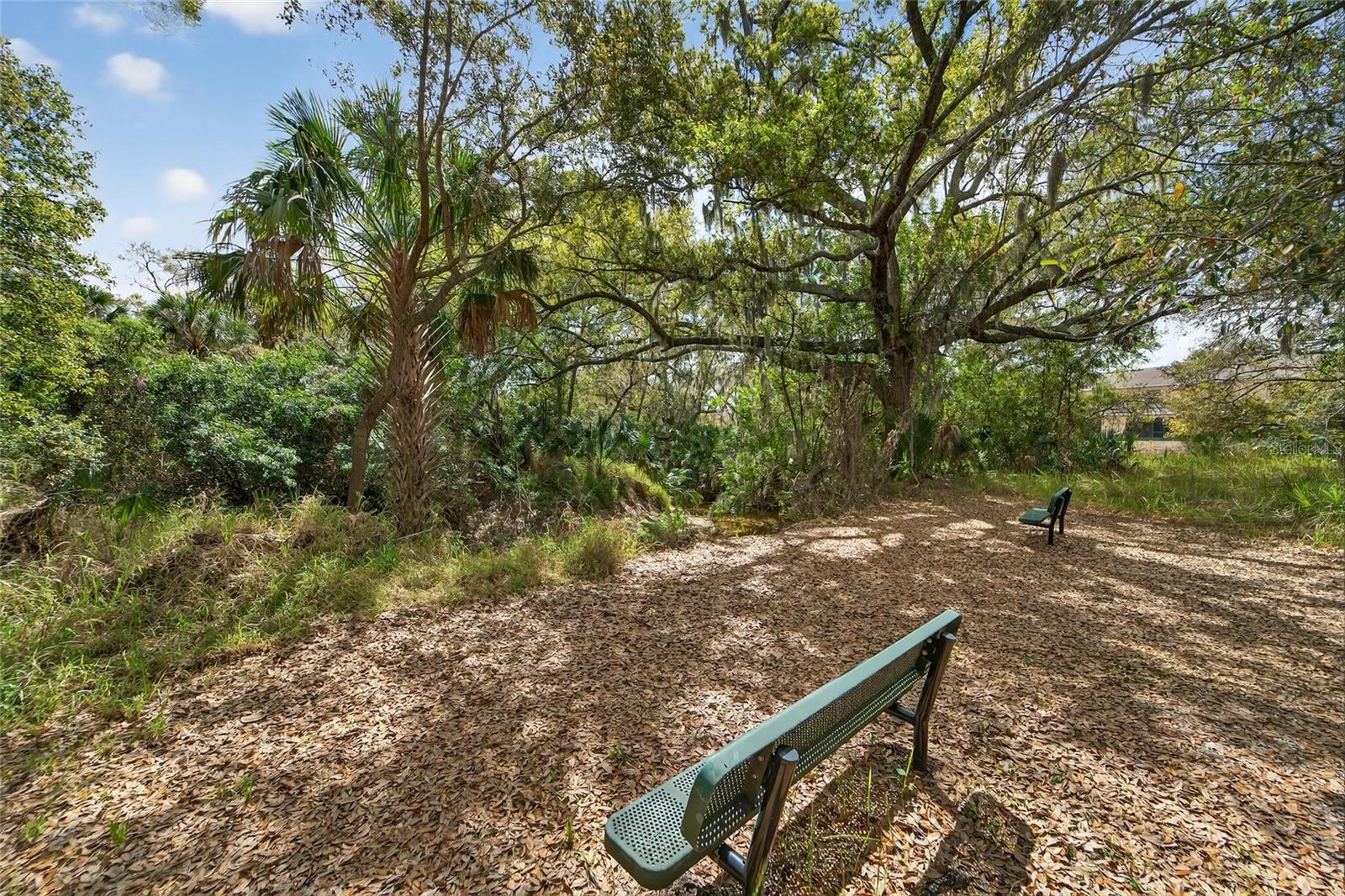 Image 64 of 90 For 9824 Hound Chase Drive